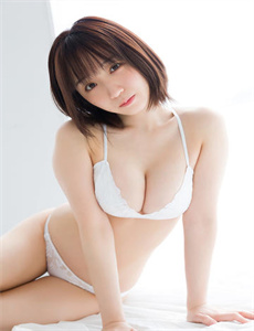 《日本公车系列》